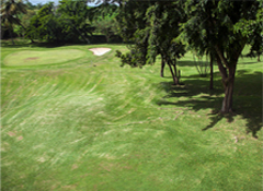 龙八- long8(国际)唯一官方网站