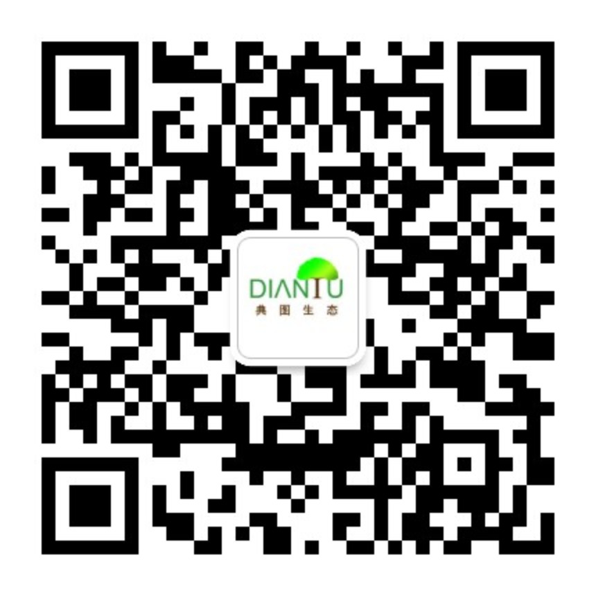 龙八- long8(国际)唯一官方网站