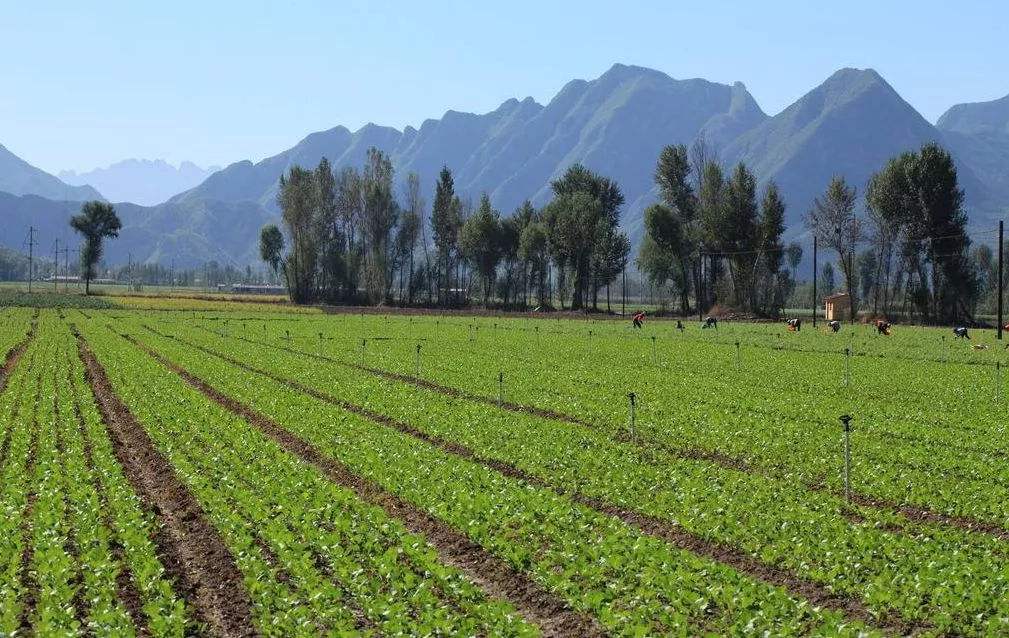 土壤污染状态视察、、、风险评估及管控修复